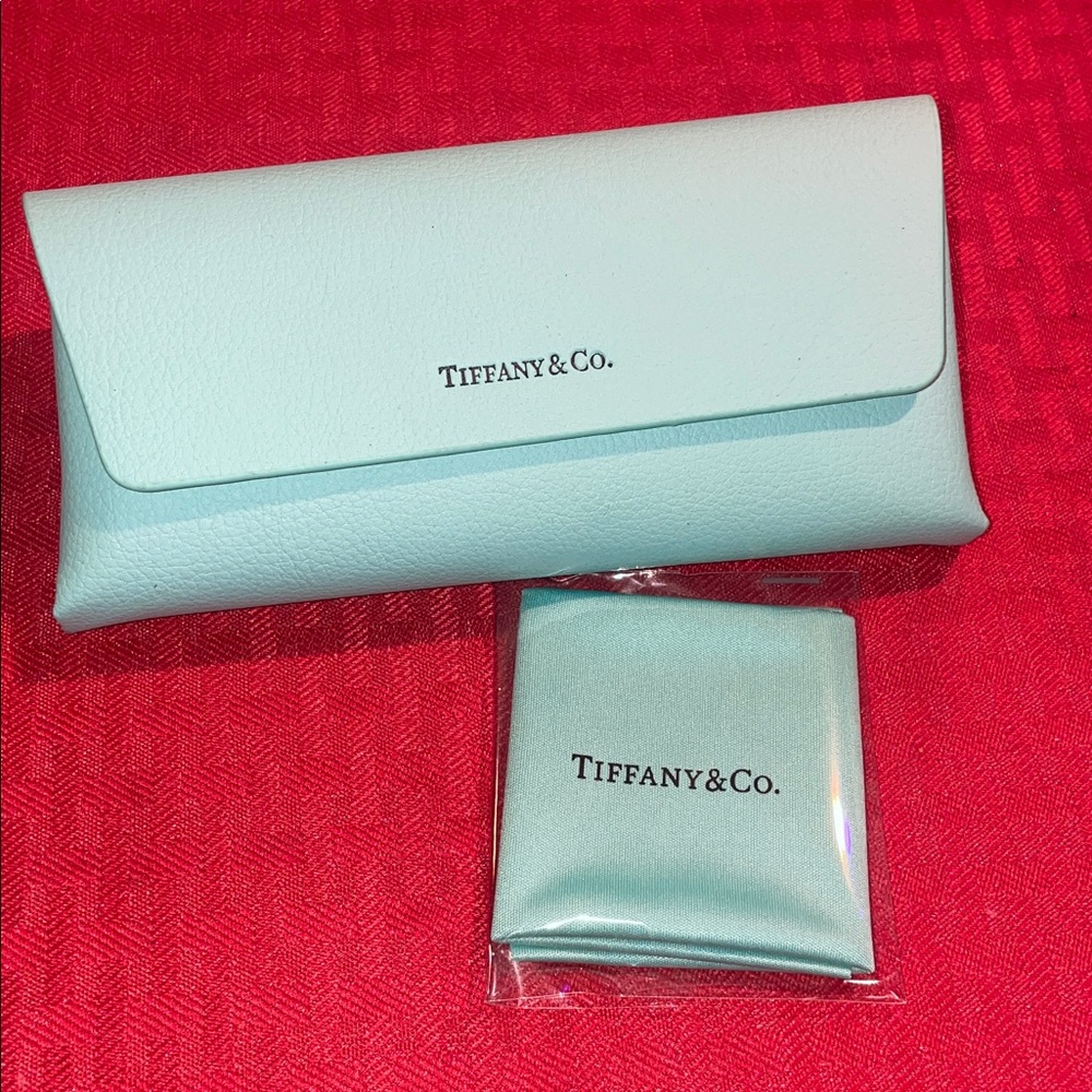 Tiffany & Co. Turquoise Sunglasses Case - Picture 2 of 9